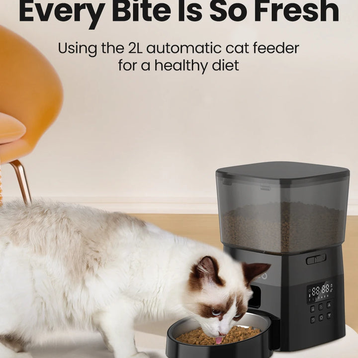 Automatic Pet Feeder