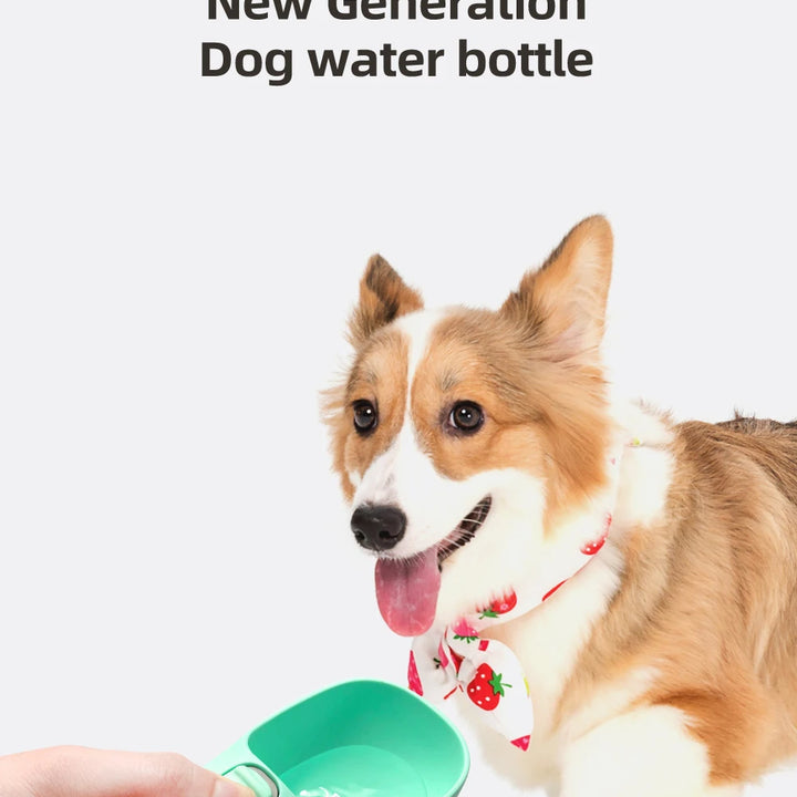 Pet Water Canteen