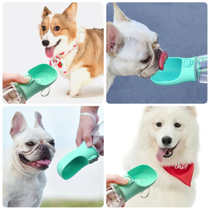 Pet Water Canteen