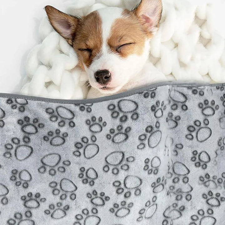 Pet Blanket Soft Fluffy